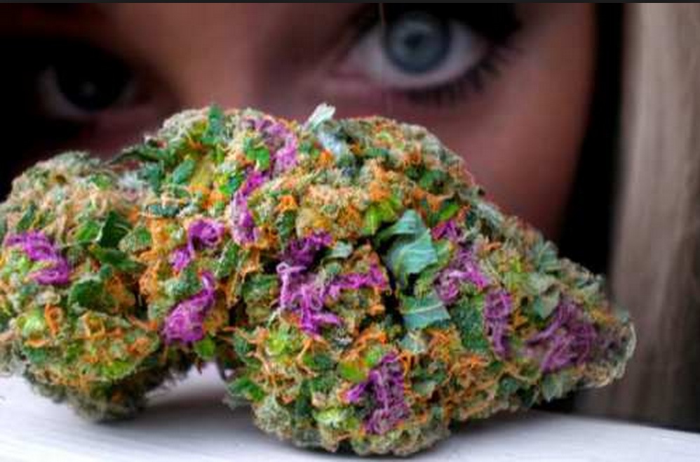 High weed