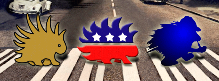 Don’t Tread On This Enormous Squeaking Porcupine! (VIDEO)