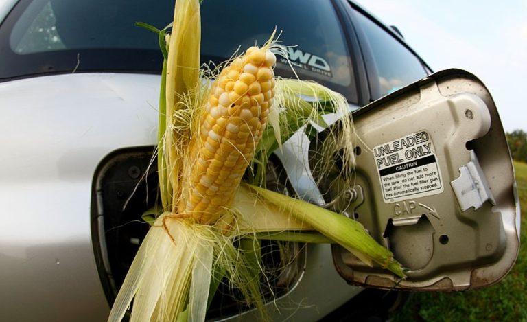 Study: Biofuels Are Actually Less Green than Gasoline (VIDEO)