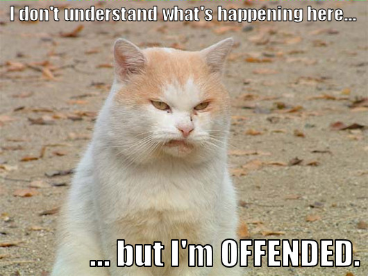 offended_trollcat11
