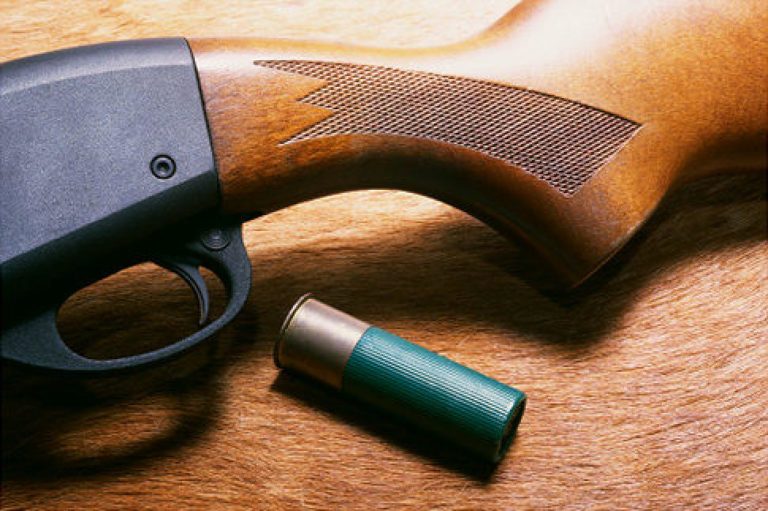 11-Year-Old Girl With a Shotgun Gave An Intruder A Nasty Surprise