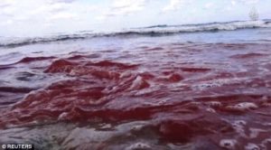 Experts say that it would actually take much more than the blood of 21 men to make the sea turn red like this.