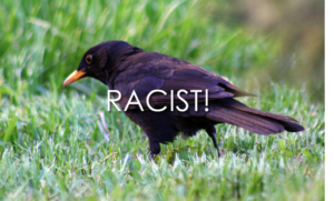 racistbird