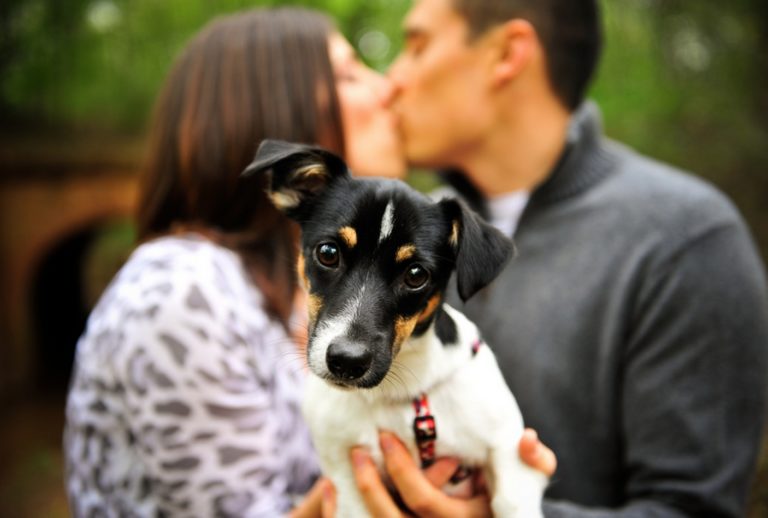 ‘Tindog’ = Tinder For Dog Lovers
