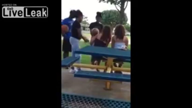 GOING VIRAL: Black Girl Attacks White Mom Holding Baby In Park