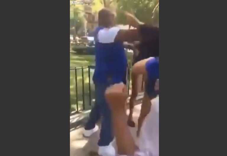 Man Defends Daughter From Horde Of Violent Females, Lays Them Out Flat