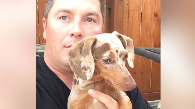 Man Fights Wild Cougar With Bare Hands And Shotgun To Save His Pup’s Life