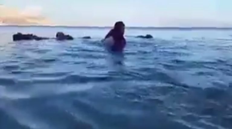 Fleeing Syrians Swim Among Drowned Corpses In Chilling Video