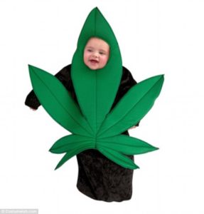 2D26BC8100000578-3262648-Barely_legal_The_company_sells_a_marijuana_leaf_shaped_baby_cost-a-8_1444320943861