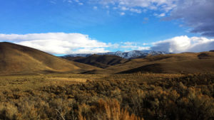 rangelands