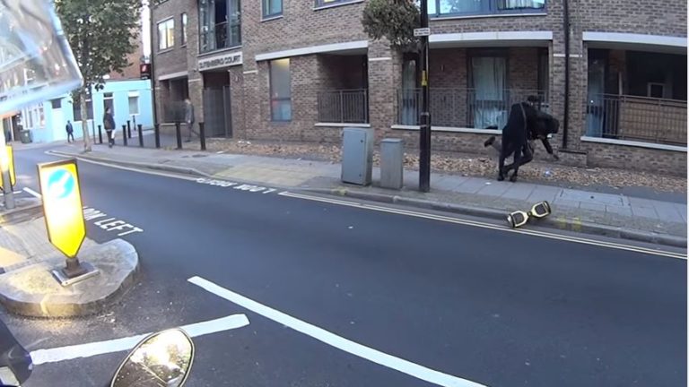Bad Ass Good Samaritan Stops Thief From Stealing Segway [video]