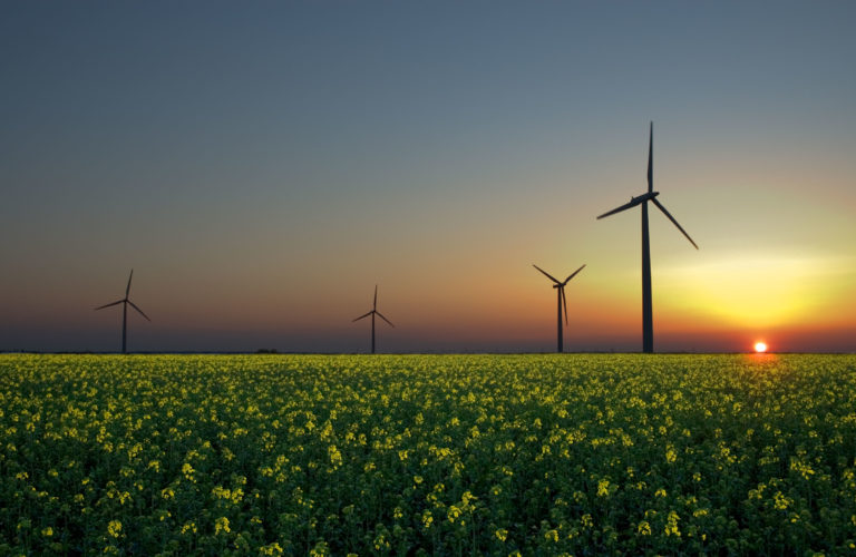 OOPS! Enviros Tout Study Showing 100% Green Energy Kills Millions Of Jobs