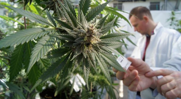 Feds Set to Reschedule Marijuana — A Double-Edged Sword for Medical Marijuana Advocates