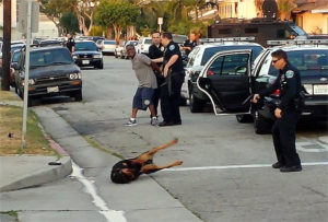 police kill dog