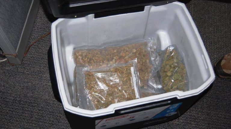 Cooler Stuffed With 60 Ounces Of Marijuana Donated To Goodwill